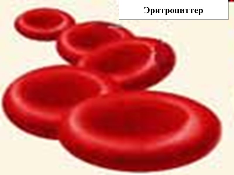 Эритроциттер